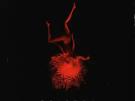 Максим Фадеев «Лети За Мной»