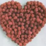 Roxette «Listen To Your Heart»