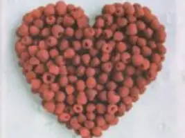 Roxette «Listen To Your Heart»